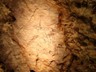 Špilja/ Cave/ Höhle/ La grotta Biserujka
