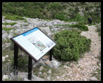 Percorso didattico